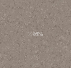 Линолеум Forbo Sphera Element 50020 silt фото 1 | FLOORDEALER